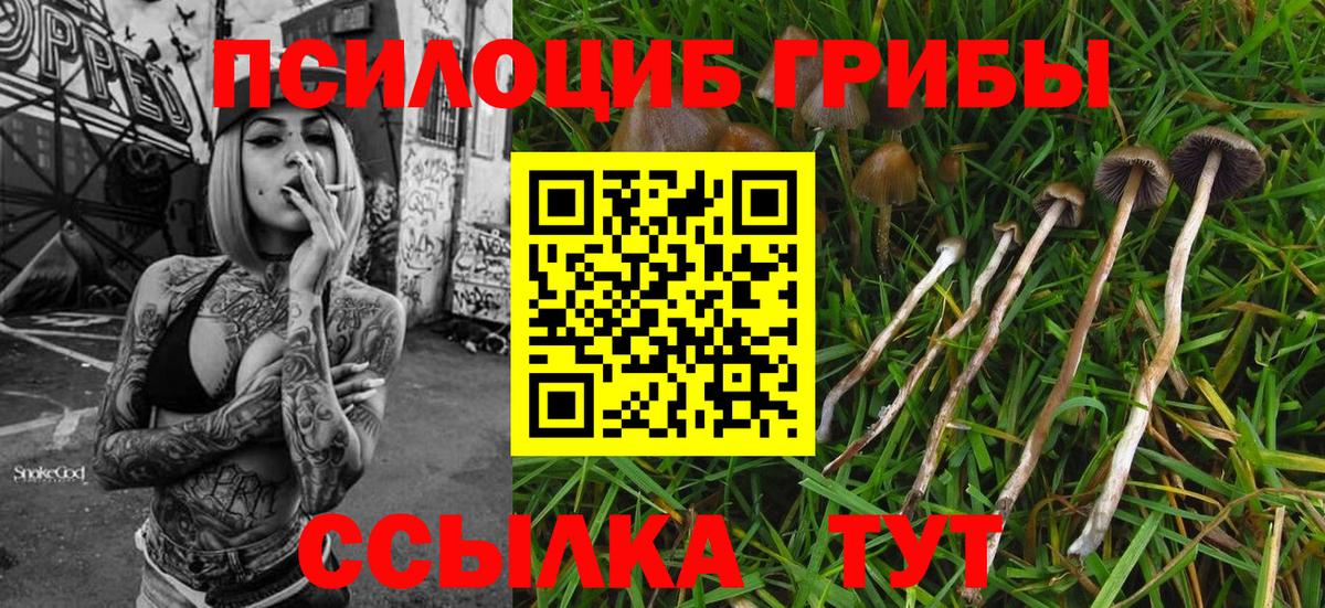 Котовск  Галлюциногенные грибы GOLDEN TEACHER  Вход с VPN 